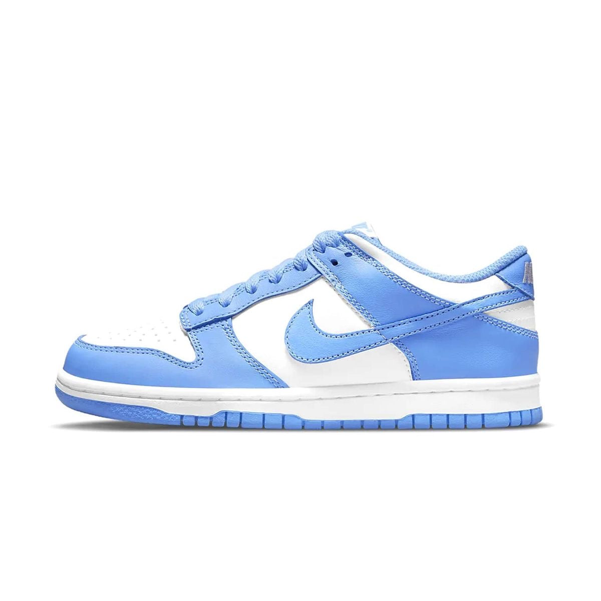 NIKE DUNK LOW BLUE